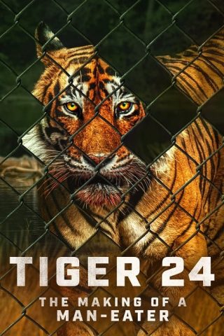 فيلم Tiger 24 2022 مترجم اونلاين