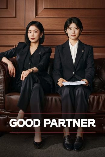 مسلسل شريك جيد Good Partner الحلقة 9 مترجمة